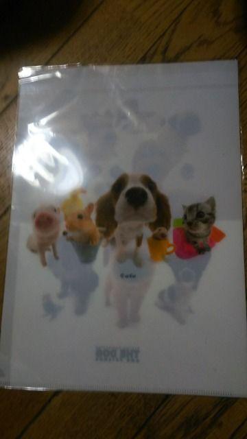 THE  DOG  /IWiNAt@C^Vi/q炯  ybg/|/| 