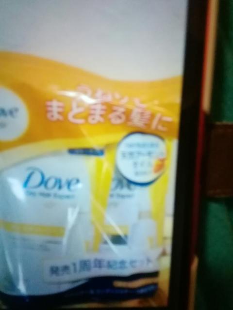 ��������������[��؂��y�A�����Ƌl�ߑւ��p6�� 