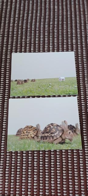 Mr.Children HOME TOUR 2007 -in the field- < タレントグッズ  Mr.Children HOME TOUR 2007 -in the field- < タレントグッズの