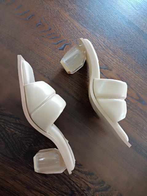 EVOLNAq[_炩NbV~[ɔi₷CC[{