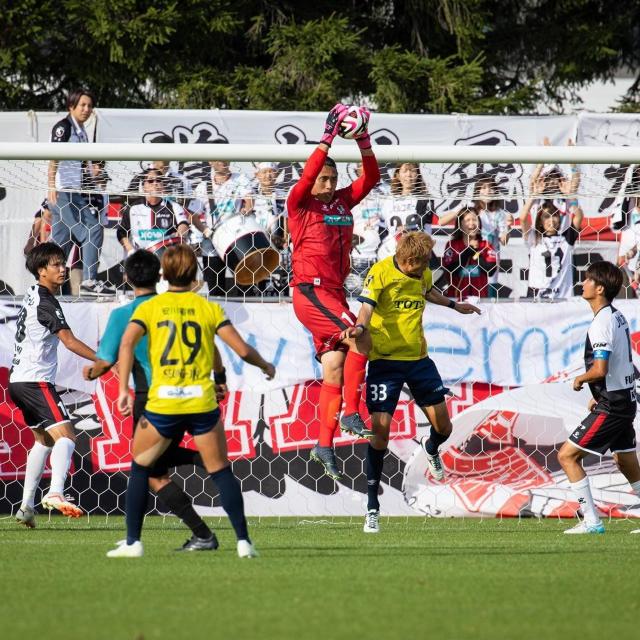 #1 v 𐶑I蒼MTC 20NLOjtH[㉺Zbg