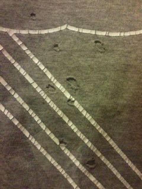 2011H~L^Nio[iCGuTVc  uh 