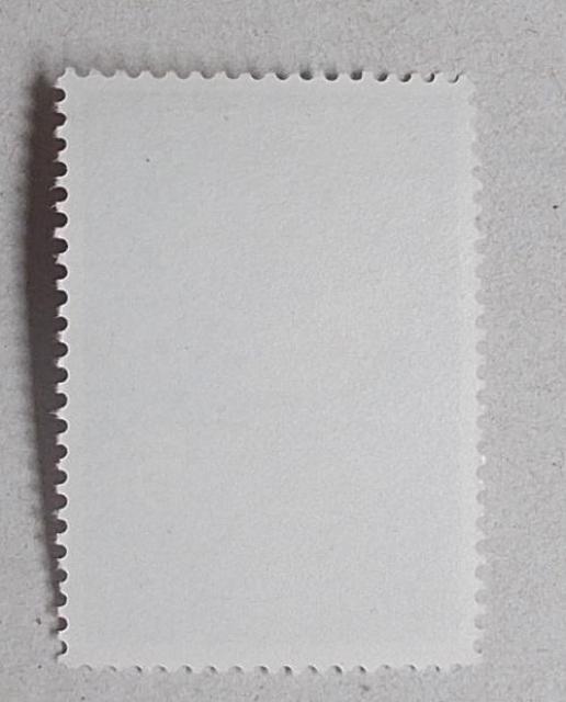 ygpz1964N@IsbNLO@T~@P  zr[ 