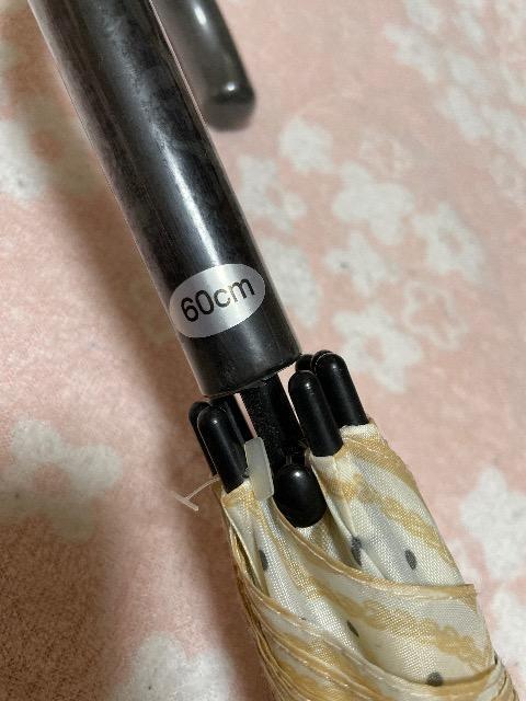 Vigp:^Ot:XgCv{vg̎P(60p)  t@bV 