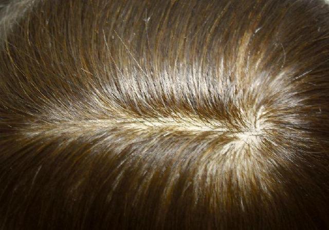 ɋ@Vi l Jo[@VN^Cv uE