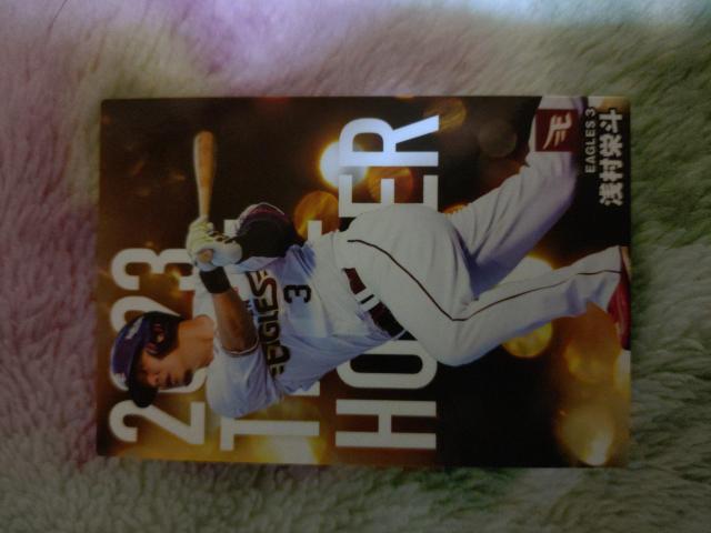 プロ野球チップスカード < トレーディングカード プロ野球チップスカード < トレーディングカードの