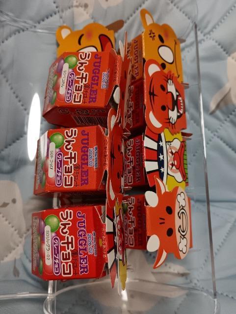 �P�[�X����W���O���[����`���R11���� �� �O����/�h�����N�� 