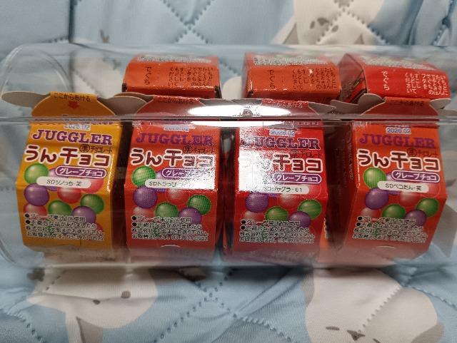 �P�[�X����W���O���[����`���R11���� �� �O����/�h�����N�� 