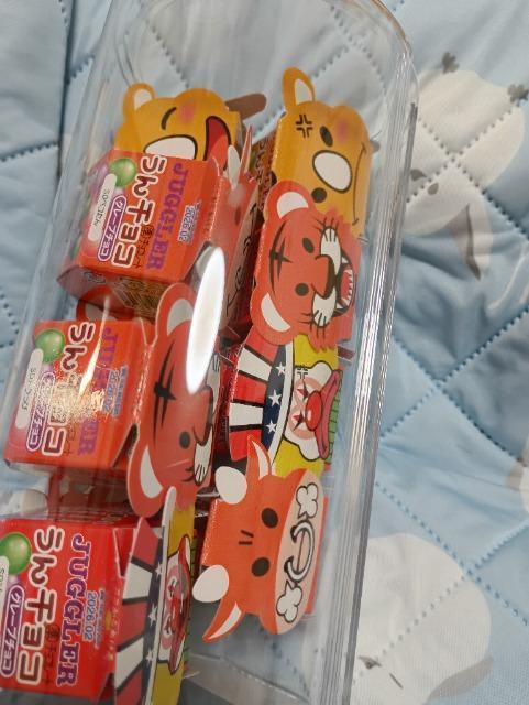 �P�[�X����W���O���[����`���R11���� �� �O����/�h�����N�� 