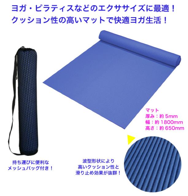 KAGNTTCYɍœK!ړIJtX|[c}bgSTT131  wX/r[eB[ 