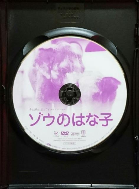 千の風になって ドラマスペシャル ゾウのはな子 反町隆史 北村一輝 甲本雅裕 純名りさ 六平直政 堺正章 レンタル専用 中古 希少 < CD/DVD/ビデオ  千の風になって ドラマスペシャル ゾウのはな子 反町隆史 北村一輝 甲本雅裕 純名りさ 六平直政 堺正章 レンタル専用 中古 希少 < CD/DVD/ビデオの
