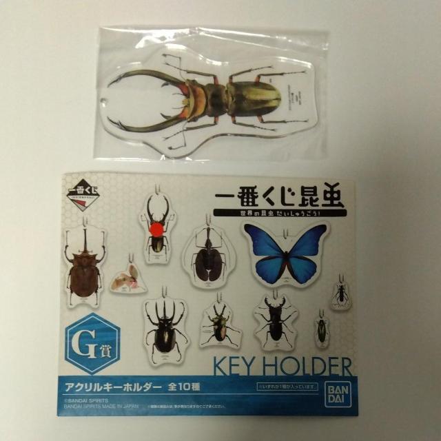 Ԃ@@E̍イ@G܁@ANL[z_[@GtXz\AJNK^   Aj/R~bN/LN^[ 