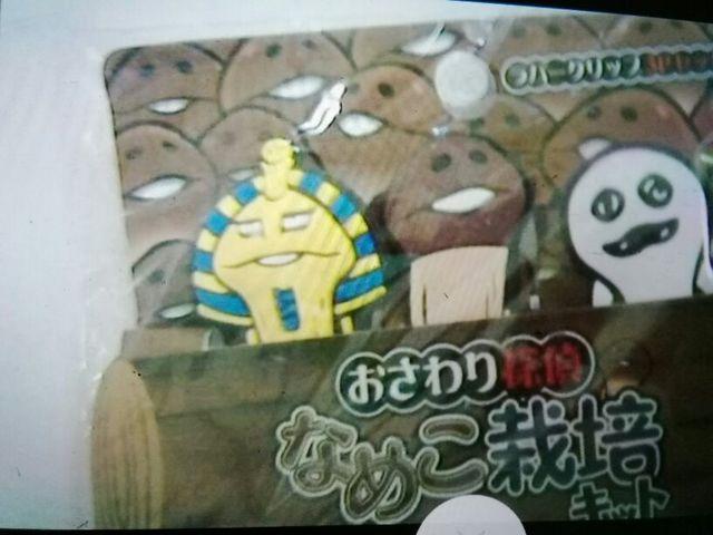 おさわり探偵なめこ栽培キットシールバインダー&ラバークリップ < ホビー  おさわり探偵なめこ栽培キットシールバインダー&ラバークリップ < ホビーの