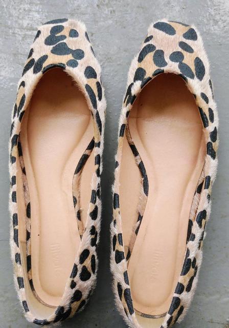 ^@Ip[h@qE@pvX   t@bV 