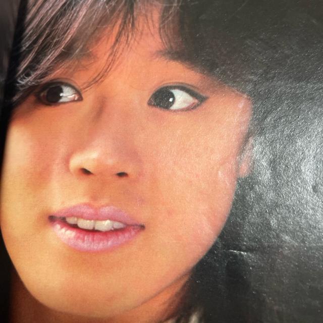 平凡  1985年10月号  送料無料  匿名配送  中山美穂 田原俊彦 小泉今日子 近藤真彦 斉藤由貴 < タレントグッズ  平凡  1985年10月号  送料無料  匿名配送  中山美穂 田原俊彦 小泉今日子 近藤真彦 斉藤由貴 < タレントグッズの