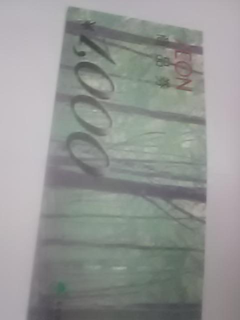 CIi1000   `Pbg/ 