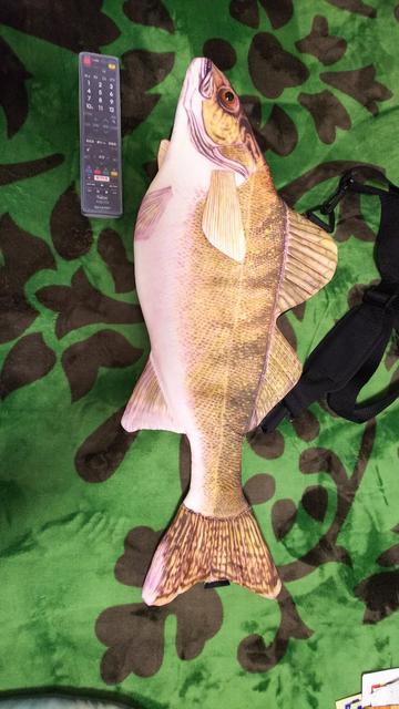 魚の形のリアルなバック < 男性ファッション  魚の形のリアルなバック  < 男性ファッションの