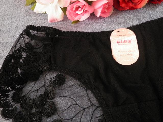 ★"▼.PinkyAngel^-^薄透けレース♪小悪魔ショーツ.▼"★ < 女性ファッション  ★"▼.PinkyAngel^-^薄透けレース♪小悪魔ショーツ.▼"★ < 女性ファッションの