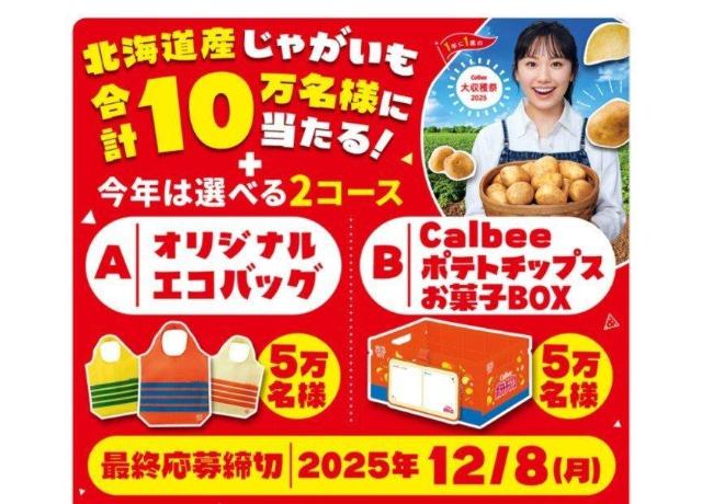 Jr[Ly[~_E52_L܂E݁   `Pbg/ 