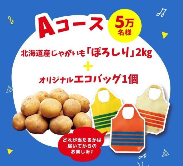 Jr[Ly[~_E52_L܂E݁  `Pbg/ 