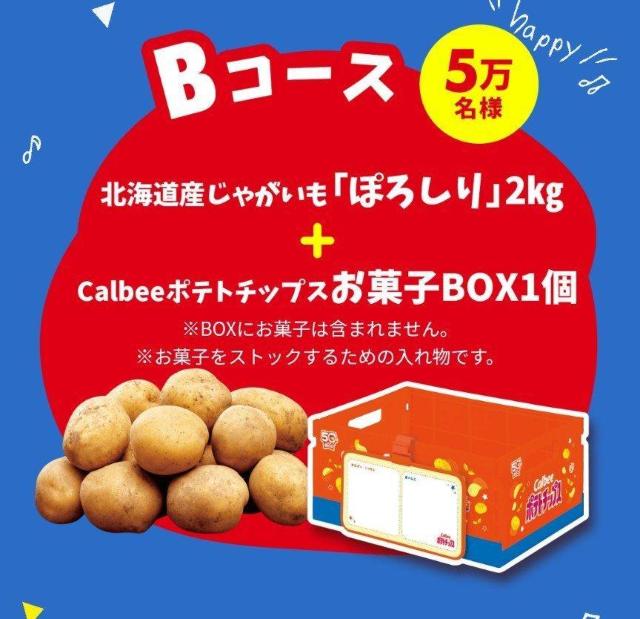 Jr[Ly[~_E52_L܂E݁  `Pbg/ 