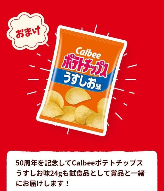 Jr[Ly[~_E52_L܂E݁  `Pbg/ 