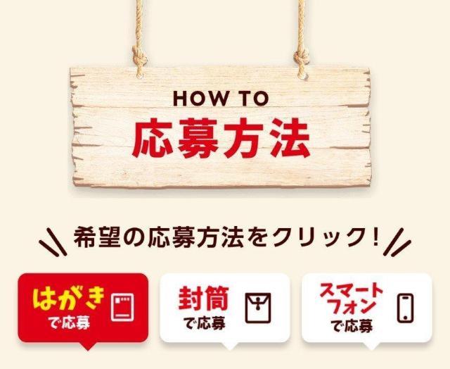 Jr[Ly[~_E52_L܂E݁  `Pbg/ 