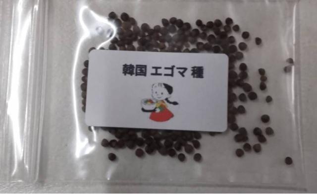 ؍hqƃGS}̃Zbg  ybg/|/| 