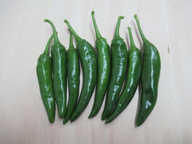 ؍hqƃGS}̃Zbg  ybg/|/| 