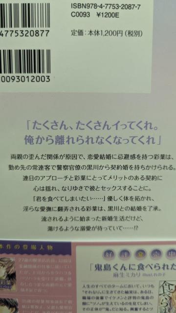 独占欲強めな警視正の溺愛包囲網★にしのムラサキ★ナイトスターブックス < 本/雑誌 独占欲強めな警視正の溺愛包囲網★にしのムラサキ★ナイトスターブックス < 本/雑誌の