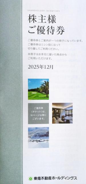 最新 東急不動産 株主優待券 1冊 送料無料 < チケット/金券 最新 東急不動産 株主優待券 1冊 送料無料 < チケット/金券の