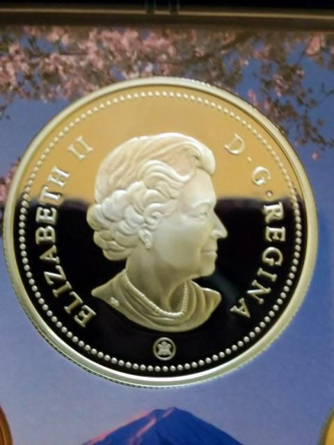 �����C�D80���N �J�i�_���_���L�O���p�b�P�[�W���������g�p�i �� �z�r�[�� 