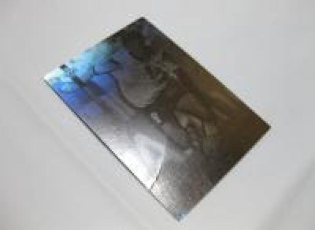 �J�[�h�T�b�J�[14  �� ���W���[/�X�|�[�c�� 