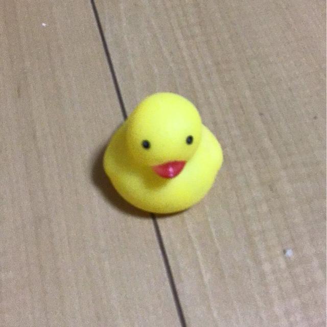 �A�q���̂�������  �� ��������� 