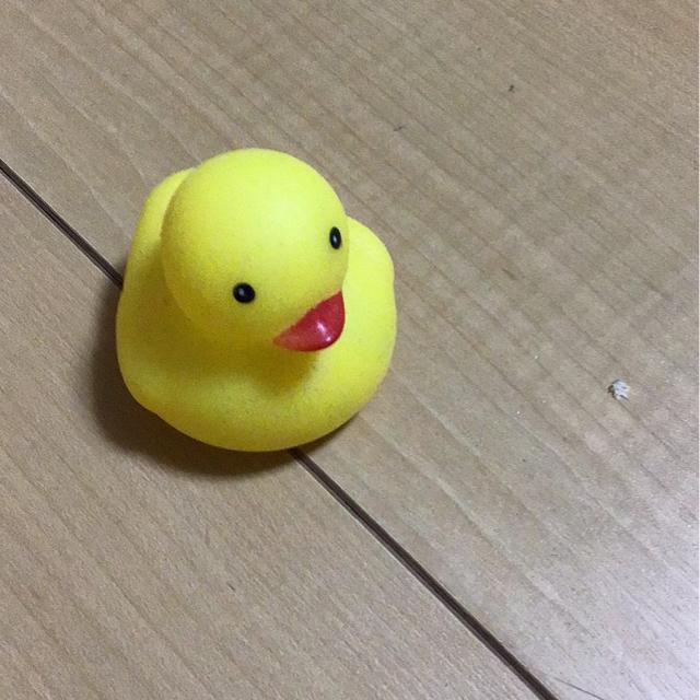 �A�q���̂������� �� ��������� 