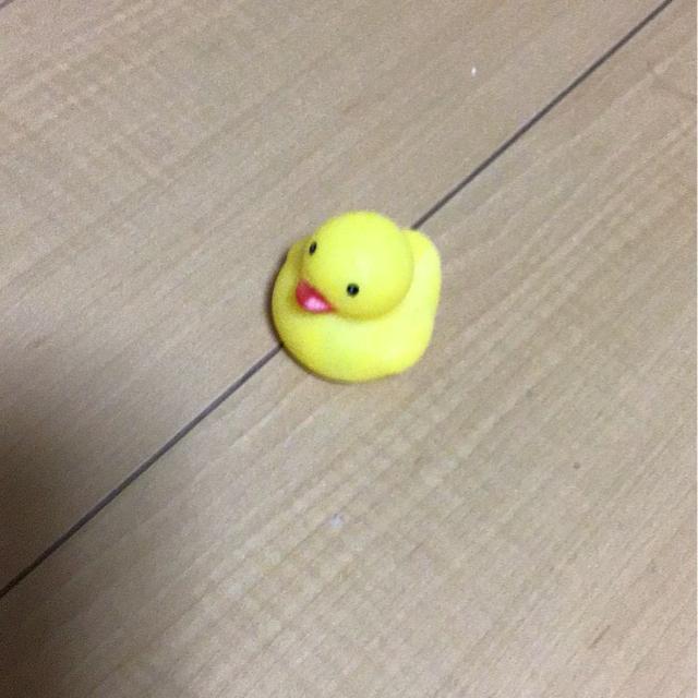 �A�q���̂������� �� ��������� 