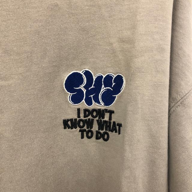 ���� WEGO �w�r�[�E�G�C�g �C���X�g���SBIG����T�V���c