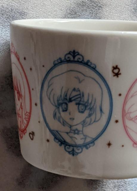 ��������m�Z�[���[���[���}�O�J�b�v(���[�\������)