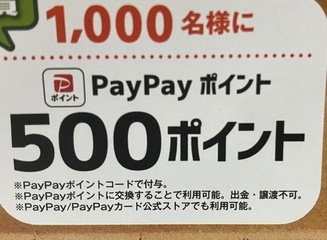 pay payポイント500p/1000名様3口 < チケット/金券 pay payポイント500p/1000名様3口 < チケット/金券の