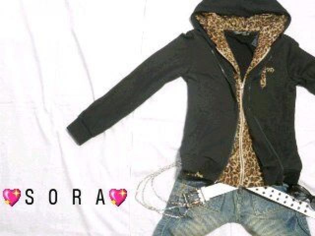 Z.GOdtWbv qE C[h WPbgp[J[   jt@bV 