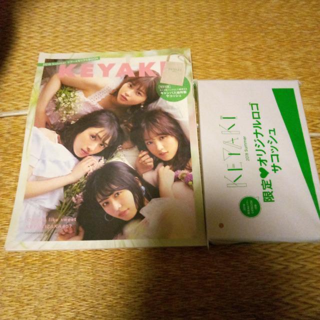 欅坂46 2018サマーツアーメモリアルBOOK < タレントグッズ  欅坂46 2018サマーツアーメモリアルBOOK  < タレントグッズの