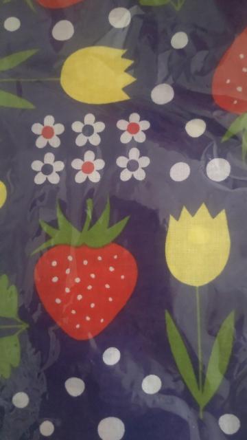 qIG@K[[nh^I̎qiC`SƉԁj@ 