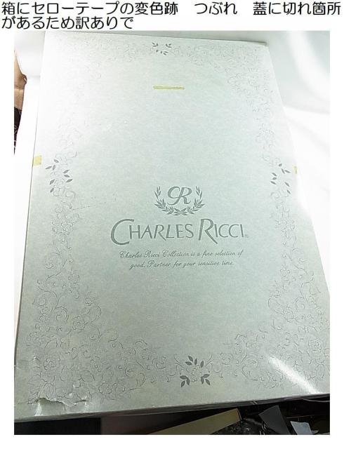 1~X^Ki gp 󂠂 CHARLES RICCI VNzc140cm x 190cm  CeA/Ct 