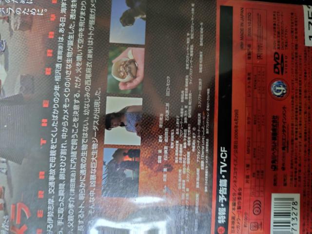 DVD@KwE҂x  CD/DVD/rfI 