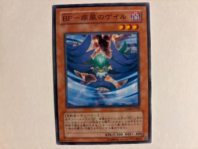 �V�Y���y�ŁEBF-�����̃Q�C���z  �� �g���[�f�B���O�J�[�h�� 