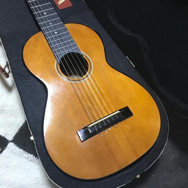 A Be[W~jM^[ Luna MG50 {vP[Xt Ǖi  zr[ 