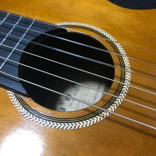 A Be[W~jM^[ Luna MG50 {vP[Xt Ǖi  zr[ 