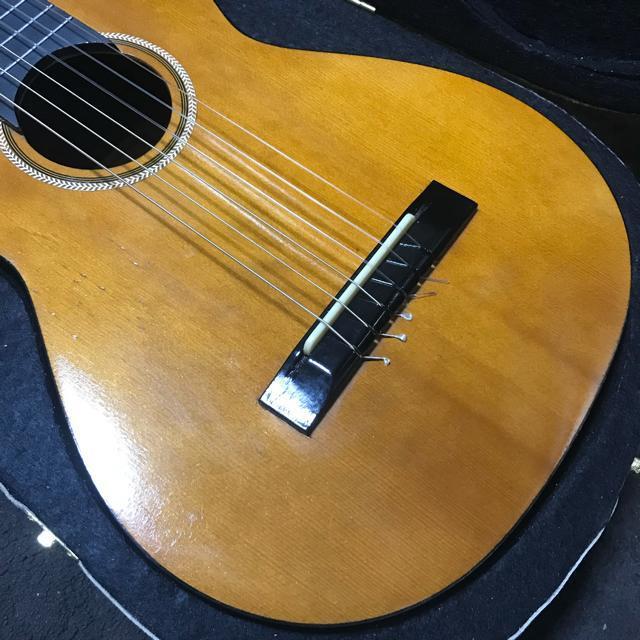 A Be[W~jM^[ Luna MG50 {vP[Xt Ǖi  zr[ 