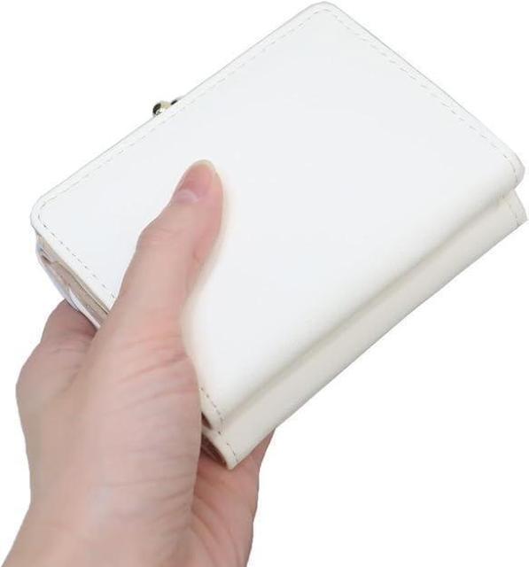 N~  ܌ O܂ EHbg z J[h TI SR39-2  t@bV 