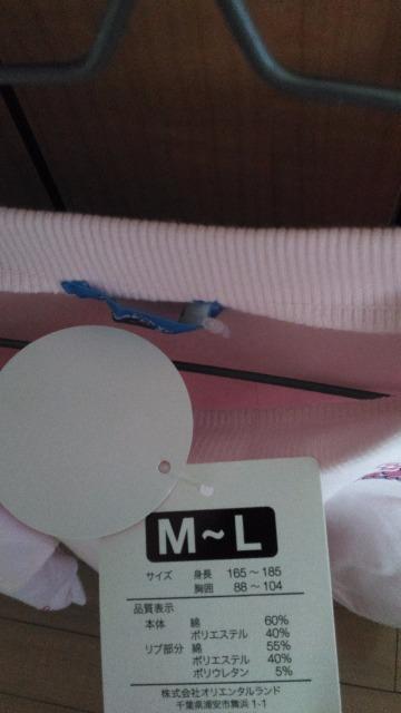 ���]�[�g�p���p���[�U�g���[�i�[M�`L �� �C���e���A/���C�t�� 